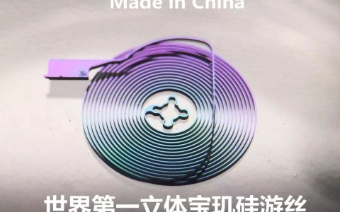 中国制造！史上第一立体宝玑硅游丝